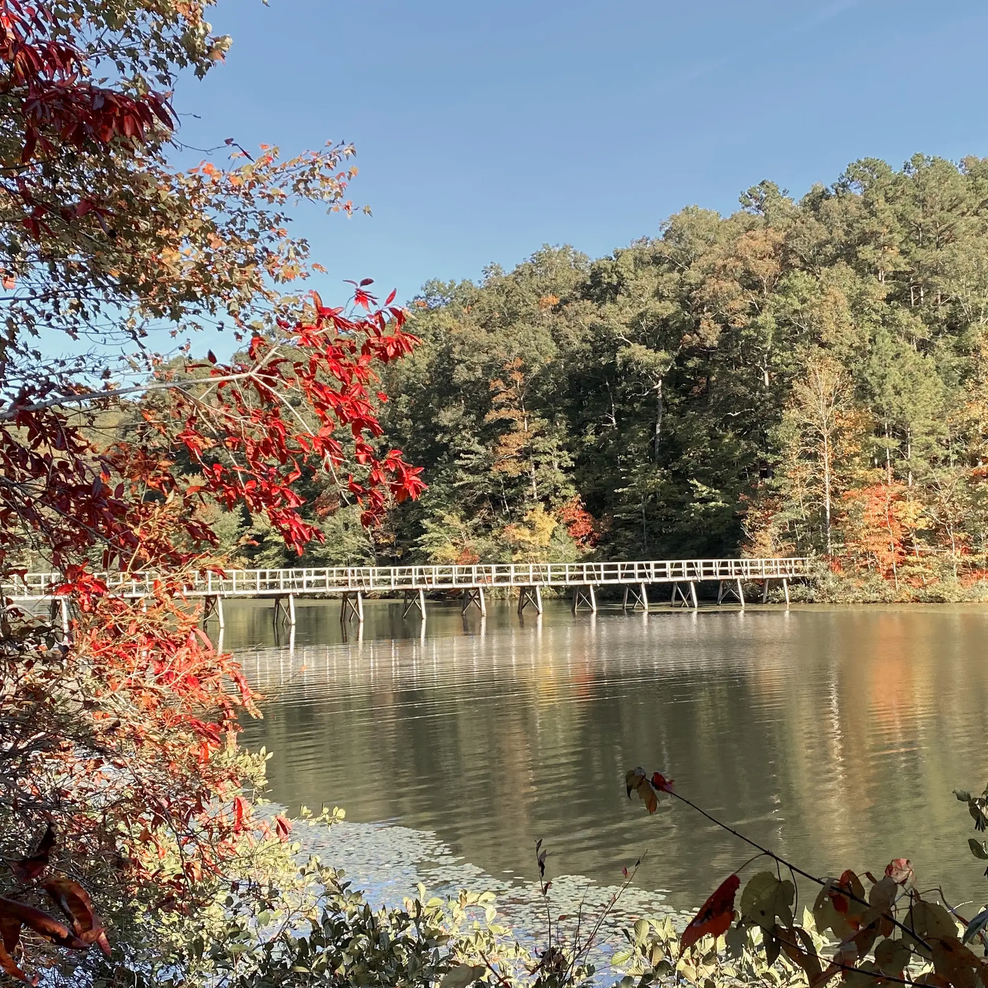 The bridge at Big Hill Pond State Park