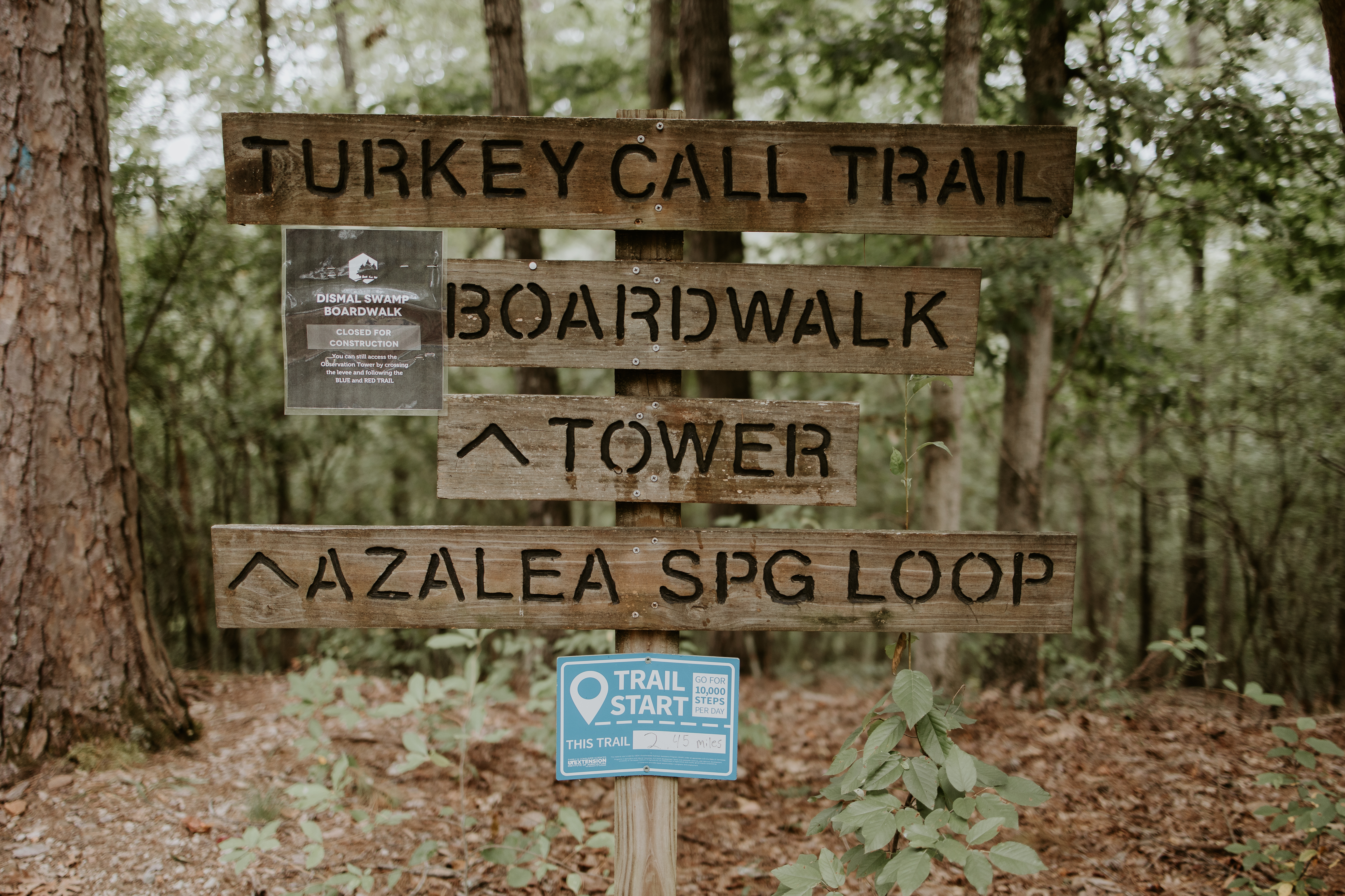Trail sign at Big Hill Pond State Park in McNairy County