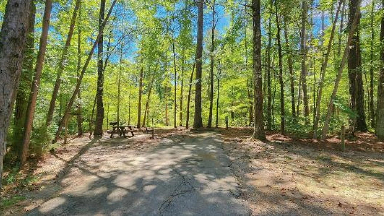Pickwick Landing Campground